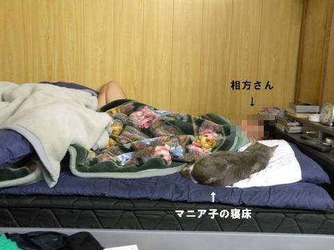 寝床泥棒.jpg