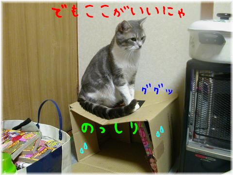 miharidai4.jpg