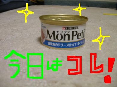 monputi1.JPG